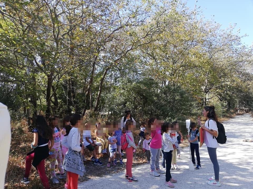 ΠΛΑΤΑΝΟΔΑΣΟΣ